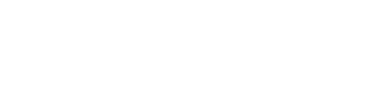 웨이비텍 WAVYTEC
